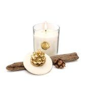 Yılbaşı Gold Kozalak Seramik Taş Kapaklı Spice Orange Vegan Mum