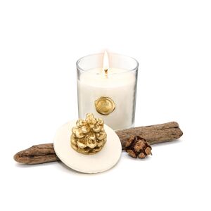 Yılbaşı Gold Kozalak Seramik Taş Kapaklı Spice Orange Vegan Mum
