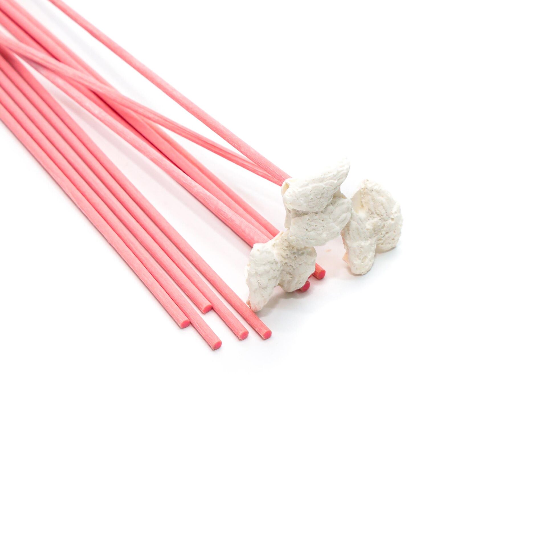 12'li Kanat Taşlı Pembe Suni Kamış Seti