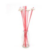 12'li Kanat Taşlı Pembe Suni Kamış Seti