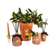 130 ml Somon Batik Cam Şişe Dark Amber Oda Kokusu