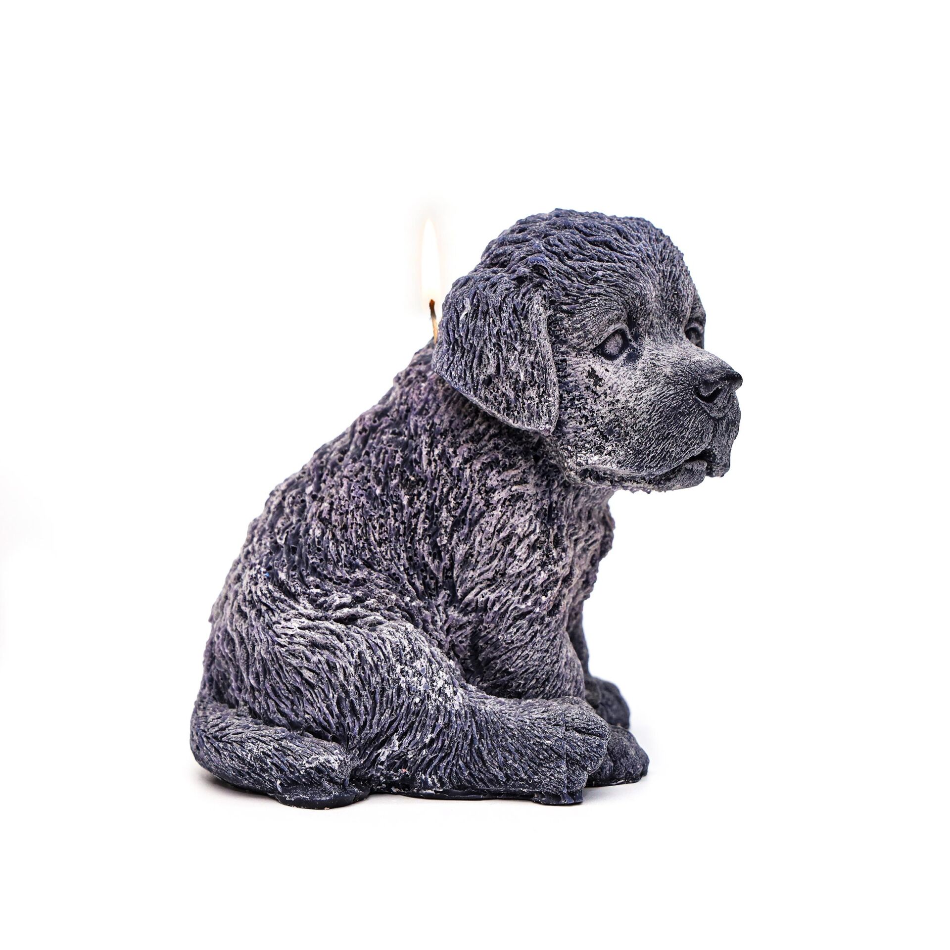 Dekoratif Siyah Köpek Mum