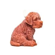 Dekoratif Kahverengi Köpek Mum