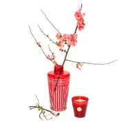 Kırmızı Kristal Kesme Cam Vazo (23 cm)