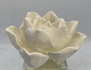 220 CC LOTUS ÇİÇEĞİ SERAMİK TAŞLI MYSTIC BUDDHA ODA KOKUSU