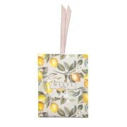Limon Çiçeği Kokulu Zarf Seti (3 adet)