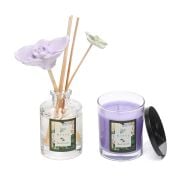 Black Orchid Oda Kokusu ve Vegan Mum Hediye Seti