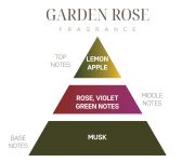 Koku Günlüğü: Garden Rose
