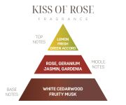 Kiss of Rose Kokulu Vegan Teneke Mum