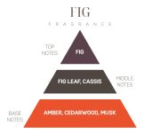 250 ml İncir (Fig) Yedek Esans