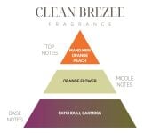 Clean Breeze Oda Kokusu ve Vegan Mum Hediye Seti