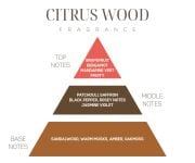 İkonik Limon Çiçeği Hediye Seti