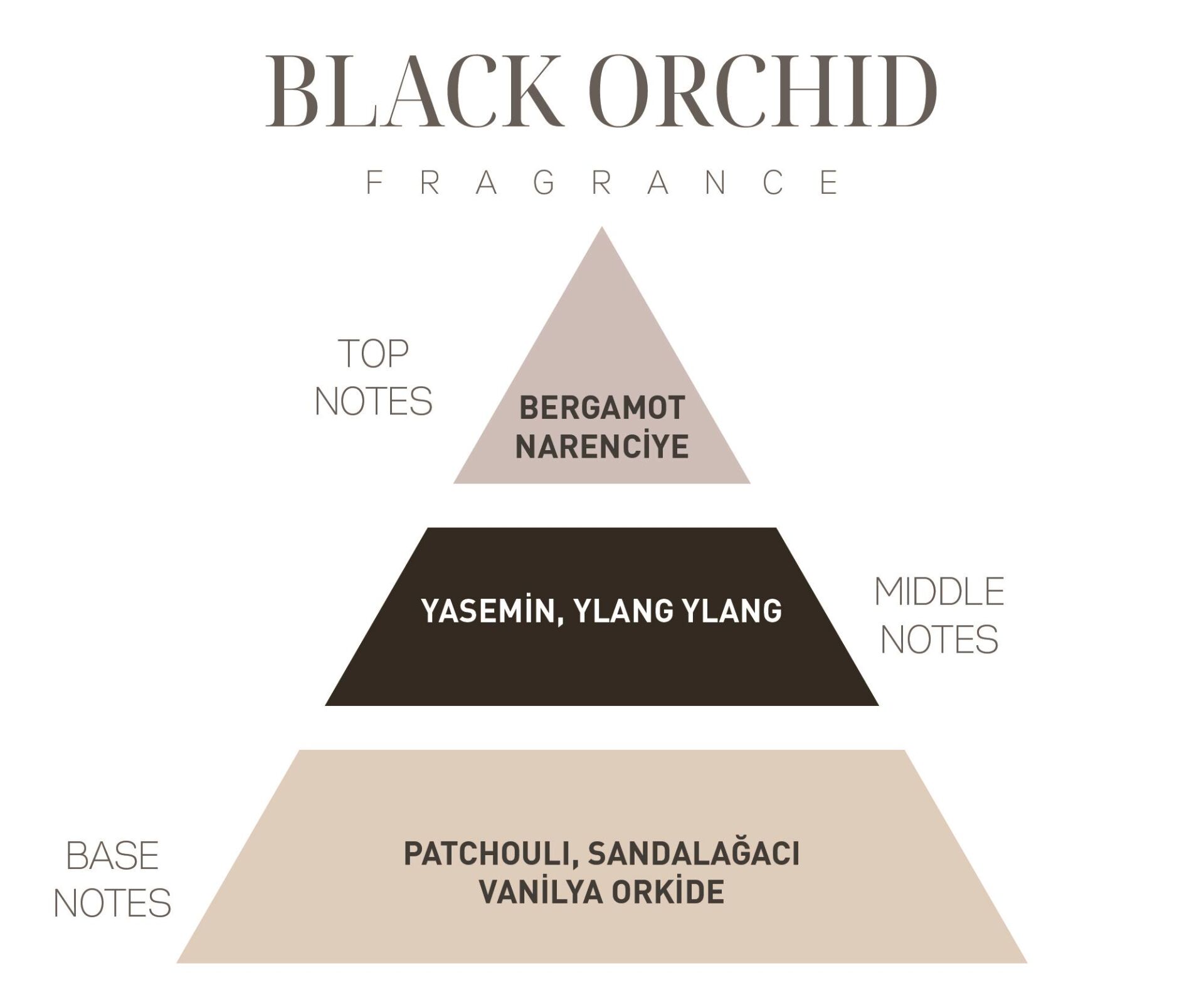 İkonik Black Orchid Hediye Seti