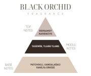 İkonik Black Orchid Hediye Seti