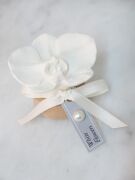 MİSSİ WEDDING IRIS PUDRA KOKULU AHŞAP KAİDELİ ORKIDE TAŞ HEDİYE SETİ