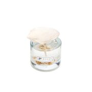 Marin 100 ml Deniz Kabuğu Taşlı Aqua Medıterıan Oda Kokusu
