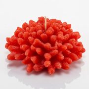 Dekoratif Marin  Kırmızı Mercan Mum