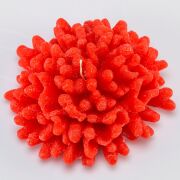 Dekoratif Marin  Kırmızı Mercan Mum