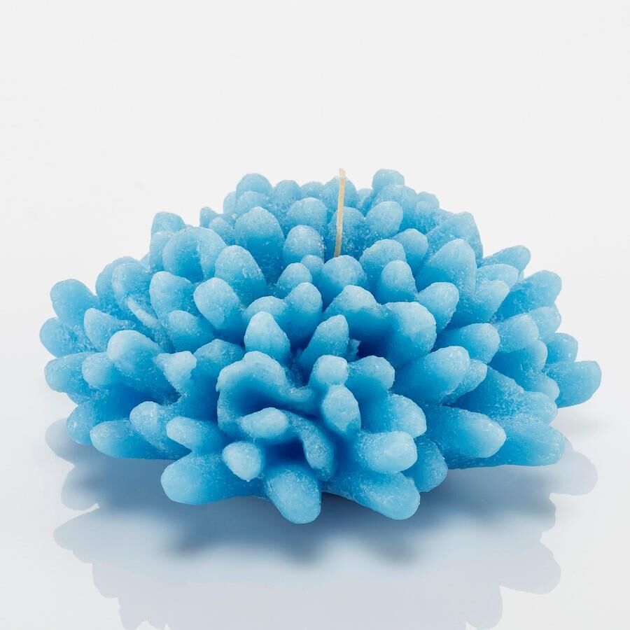 Dekoratif Marin Mavi Mercan Mum