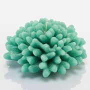 Dekoratif Marin Yeşil Mercan Mum