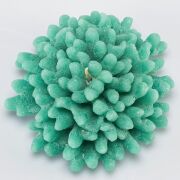 Dekoratif Marin Yeşil Mercan Mum