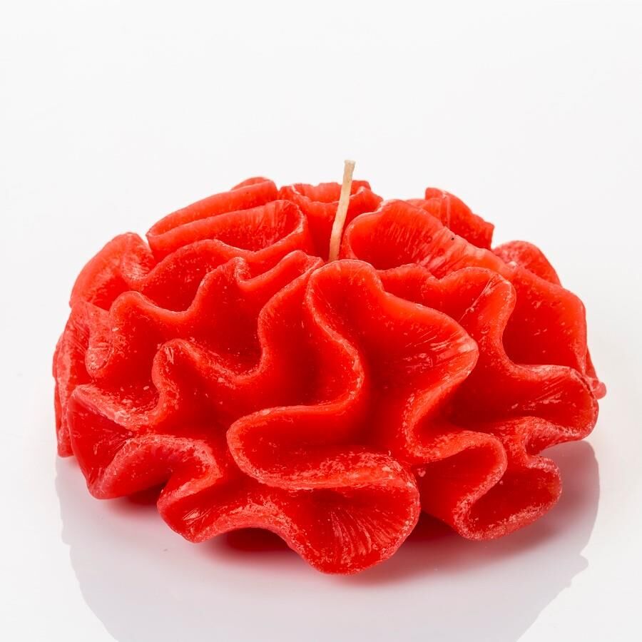 MİSSİ MARİN KIRMIZI DALGALI MERCAN MUM