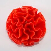 MİSSİ MARİN KIRMIZI DALGALI MERCAN MUM