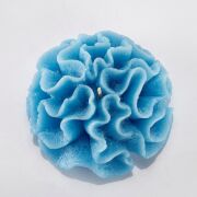 MİSSİ MARİN MAVİ DALGALI MERCAN MUM