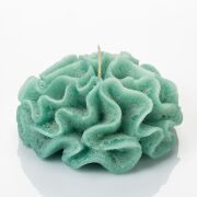 MİSSİ MARİN YEŞİL DALGALI MERCAN MUM