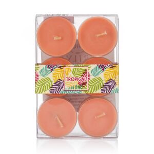 6 LI TURUNCU TEALIGHT MUM