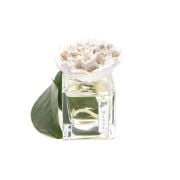 50 ml Ekru Çiçek Taşlı Vanilya Sandal Oda Kokusu