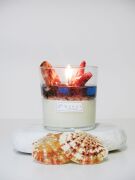 MİSSİ MARİN AQUA BOSPHORUS KOKULU DENİZ YILDIZI DEKORLU VEGAN MUM