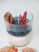 MİSSİ MARİN AQUA BOSPHORUS KOKULU DENİZ YILDIZI DEKORLU VEGAN MUM