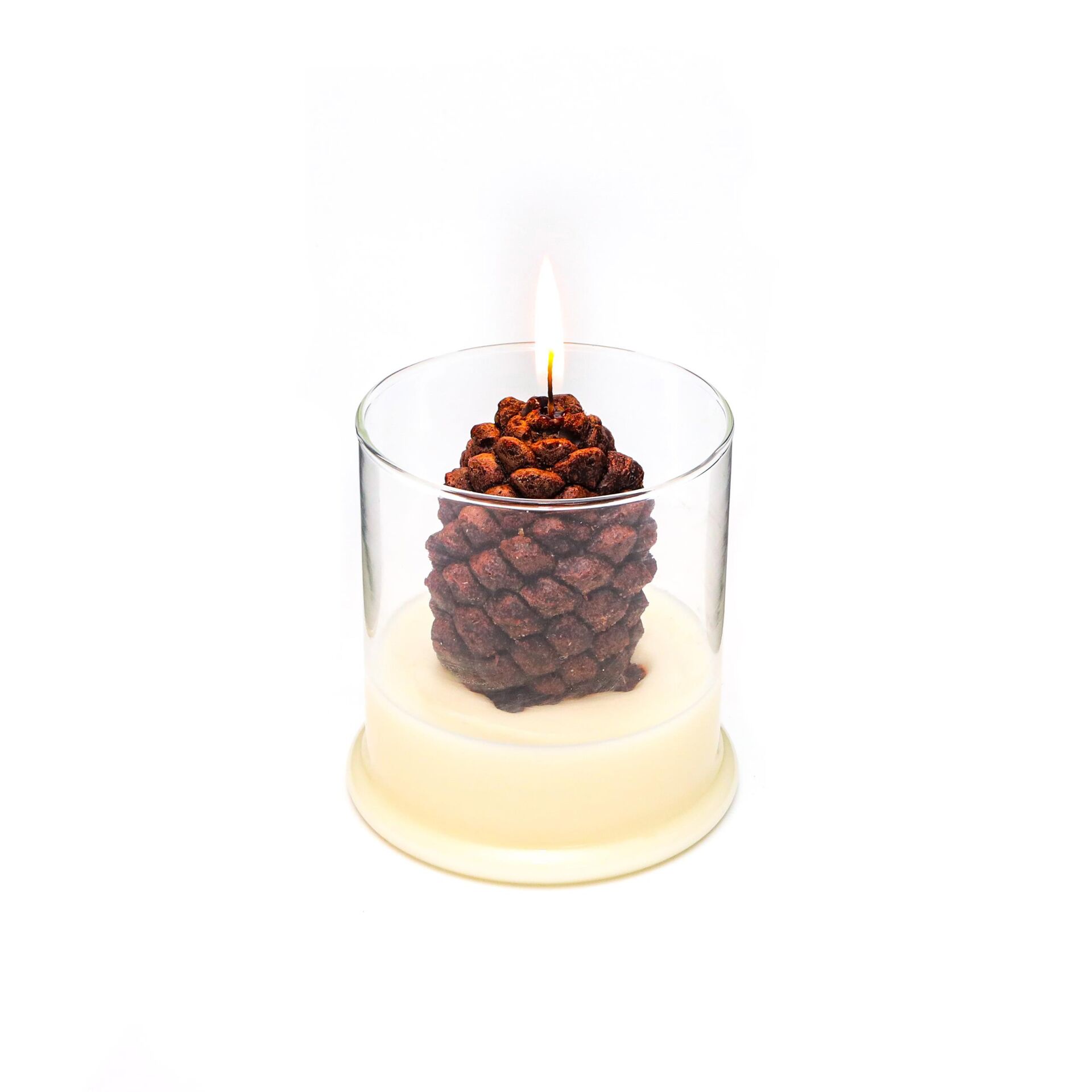 Büyük Üfleme Cam İçi Kozalak Dekorlu Vegan Mum