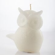 EKRU DÜZ BAKAN BAYKUŞ MUM