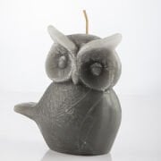 GRİ DÜZ BAKAN BAYKUŞ MUM