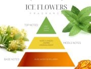 Marin 150 ml Mavi Deniz Yıldızı Taşlı Bambu Çubuklu Ice Flowers Oda Kokusu