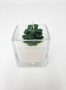 Spice Orange Kokulu Kare Cam Bardak Yeşil Kozalak Dekorlu Vegan Mum