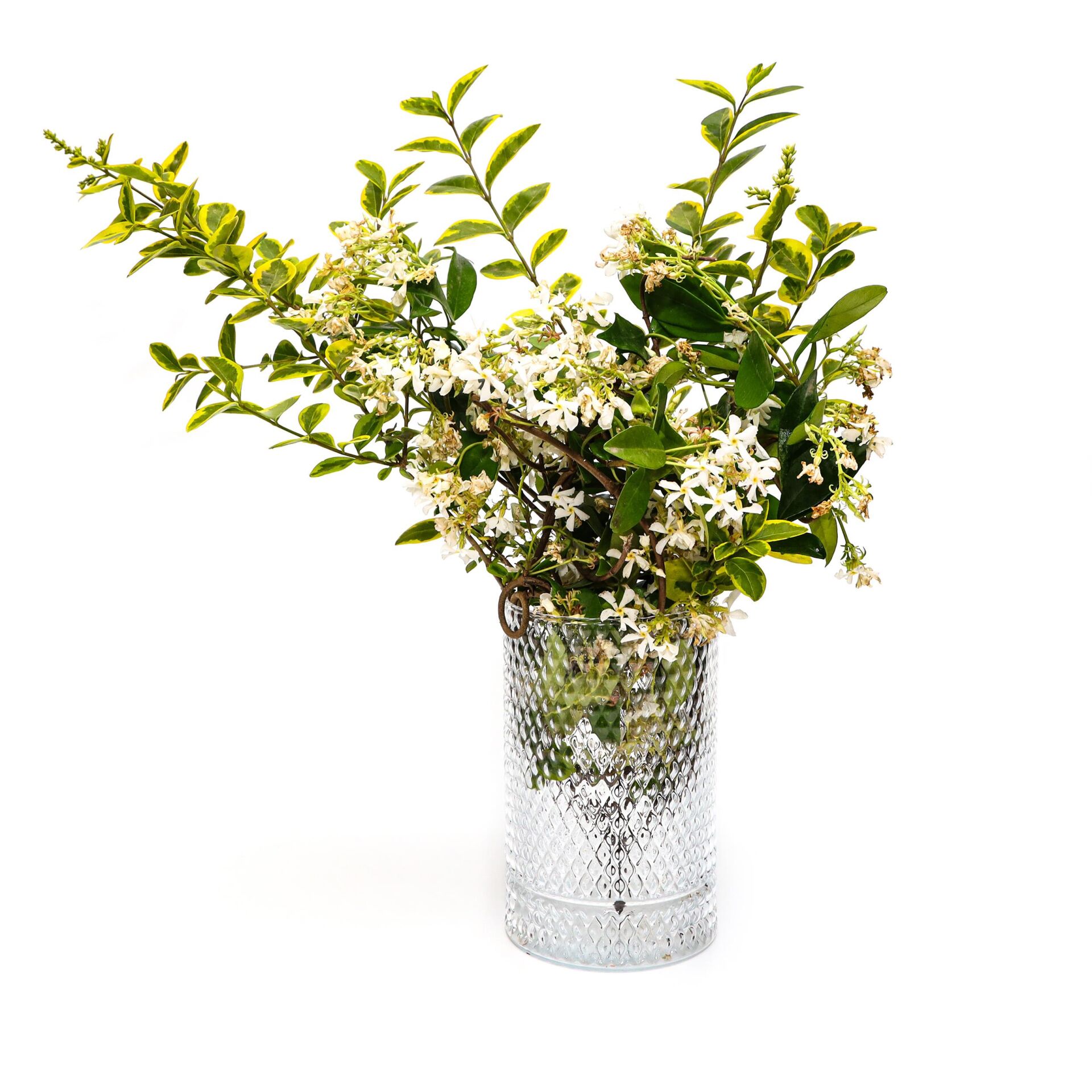 Diamond Cam Vazo/Mumluk (17 cm)