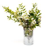 Diamond Cam Vazo/Mumluk (17 cm)