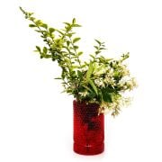 Kırmızı Diamond Cam Vazo/Mumluk(17 cm)