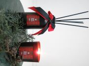 MİSSİ ÖZEL KUTULU SİYAH BARDAK APPLE&CINNAMON KOKULU VEGAN KIRMIZI MUM