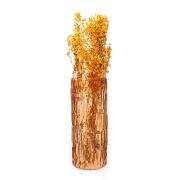 Amber Cam Kabuk Vazo