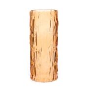 Amber Cam Kabuk Vazo