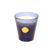 Siyah Konik Cam Bardak İncir-Nar Kokulu Vegan Mum (160 gr)