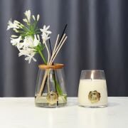 Garden Rose-Pudra Kokulu Aromatik Doğa Üçlüsü Set (Oda Kokusu-Vegan Mum-Vazo)