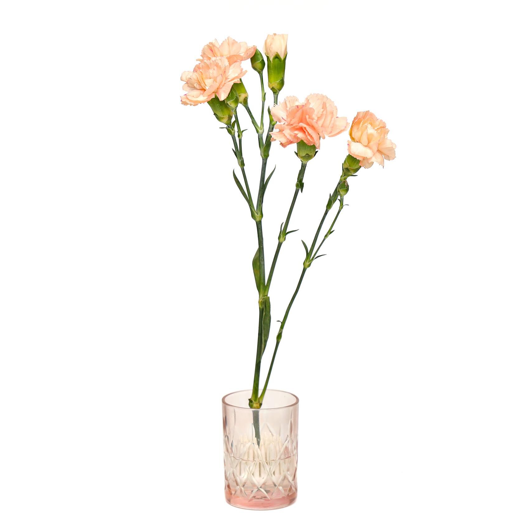 Flora Design-Minimal Pembe Kesme Cam Vazo