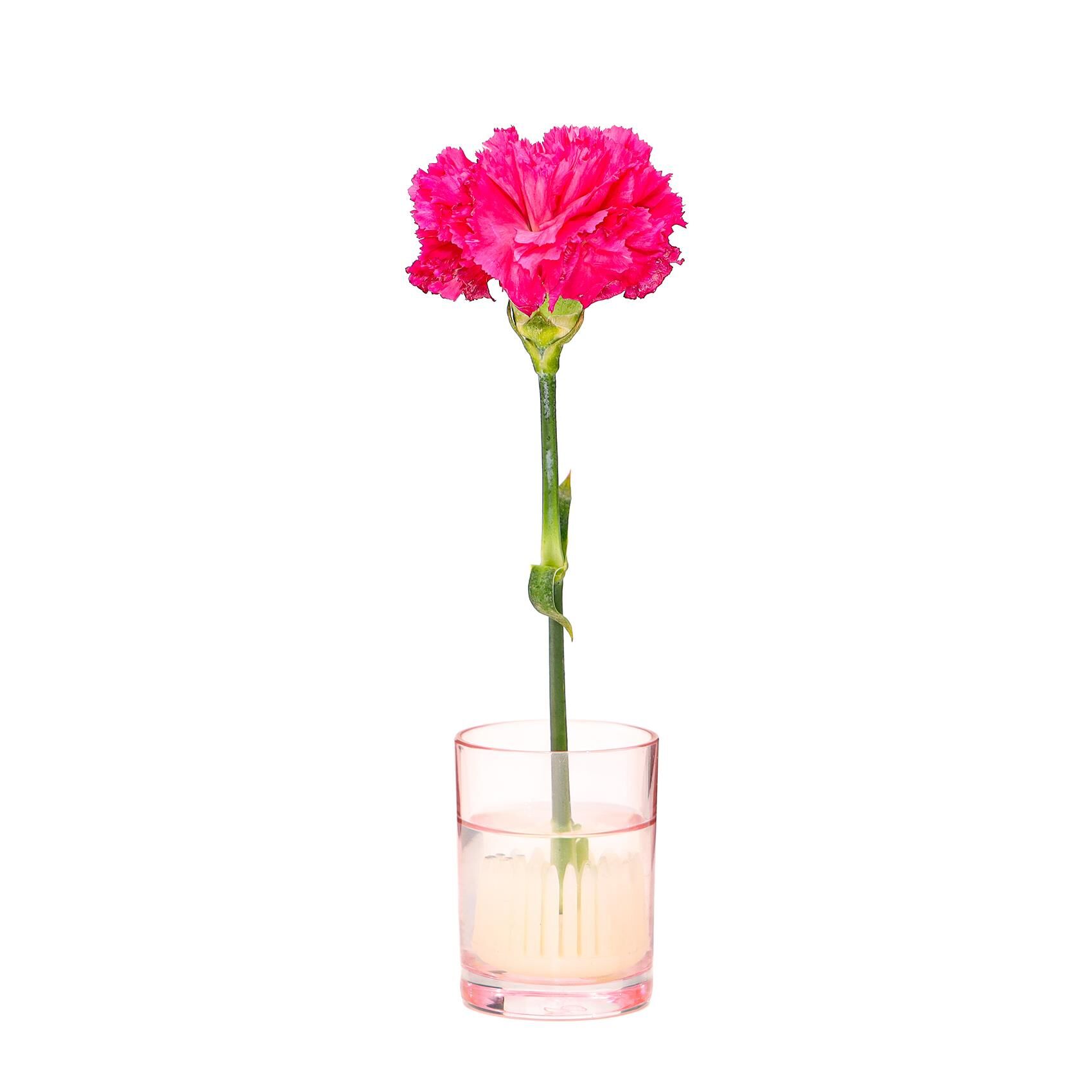 Flora Desing-Minimal Pembe Cam Vazo