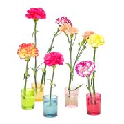 Flora Desing-Minimal Pembe Cam Vazo