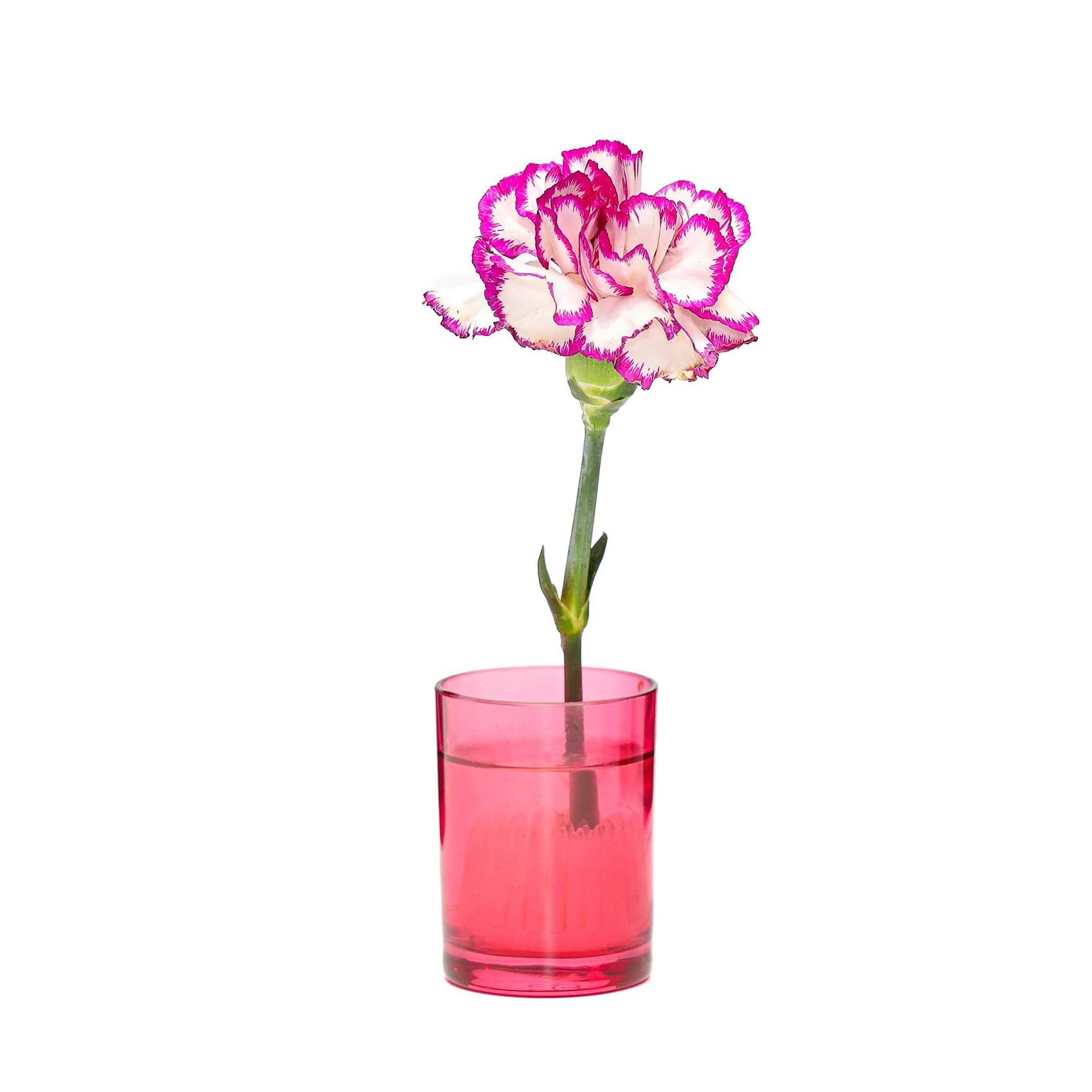 Flora Design-Minimal Kırmızı Cam Vazo